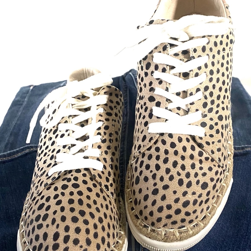 Ccocci Women's Lucia Leopard Tie-Up Sneaker Size 6Leopard Print Lace-Up Sneakers